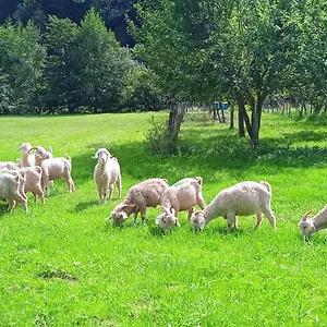 Gasthof Au Mohair Des Alpy, Fougax-et-Barrineuf